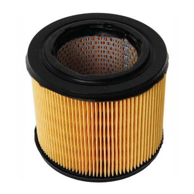 Best Selling Genuine parts air filter LX194 For Mahler